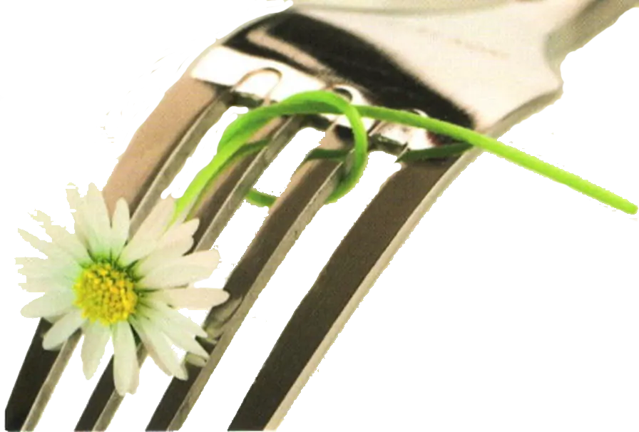 Logo auberge fleurie vaugneray